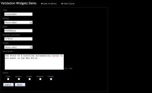 Validation Widgets Demo